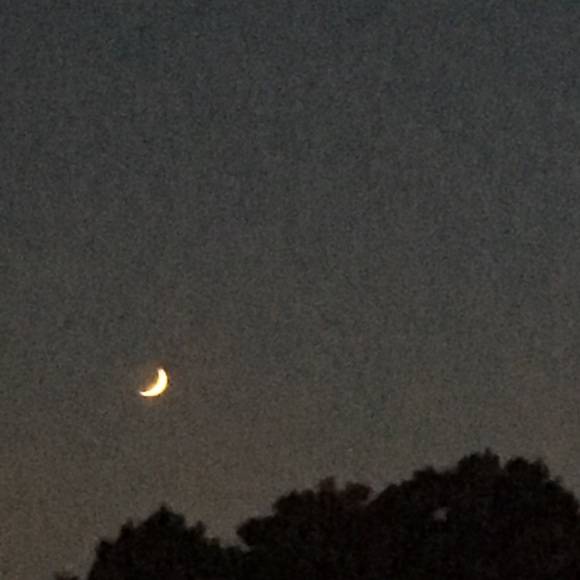 Meet your Posher, Ray - Picture 1 of 1